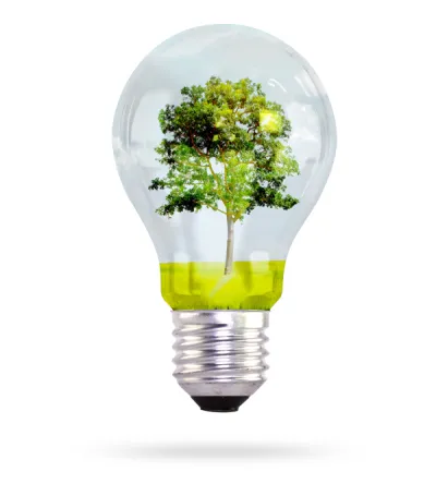 ISO 14001 Beratung f&uuml;r Umweltmanagement