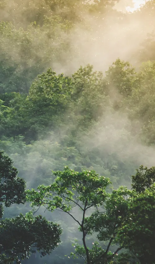 Umweltmanagement Beratung Frankfurt