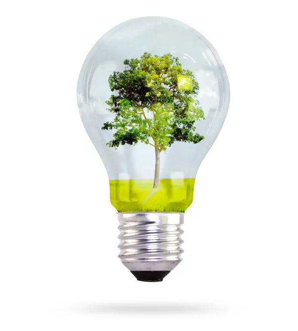 ISO 14001 für Ihr Unternehmen in München
